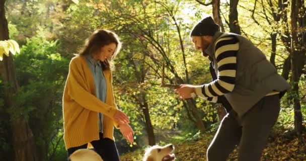 Rindo mulher e homem brincando com um cão bonito e fazendo um cão para saltar e obter um pau. Dia ensolarado em um belo parque de outono. Ao ar livre — Vídeo de Stock