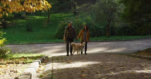 Joven pareja alegre paseando por un sendero a través del parque de otoño con un lindo labrador en la correa y cogido de la mano. Clima soleado. Buen humor. Exterior — Vídeos de Stock