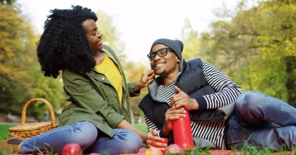 Jovem casal afro-americano bonito sentado no meio do belo parque, bebendo chá quente e falando. Outono ensolarado. Ao ar livre. Retrato — Vídeo de Stock