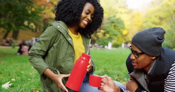 Apelando jovem casal afro-americano apaixonado sentado no parque no piquenique. Mulher derramando chá quente da garrafa térmica para o homem e ele bebendo. Dia de outono ensolarado. Ao ar livre — Vídeo de Stock