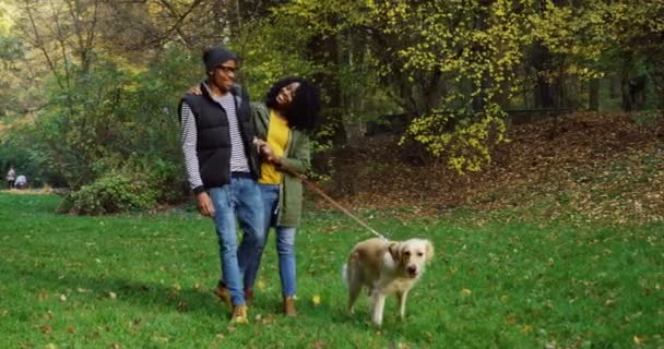 Underbara unga afroamerikanska par promenader en hund i koppel i vacker park i höst morgon. Utomhus — Stockvideo