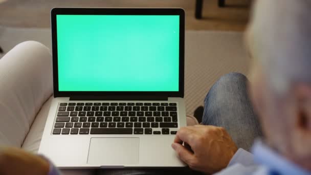 Avós usando computador portátil com tela verde enquanto sentado no sofá na sala de estar. Vista pelas traseiras. Chave Chroma . — Vídeo de Stock