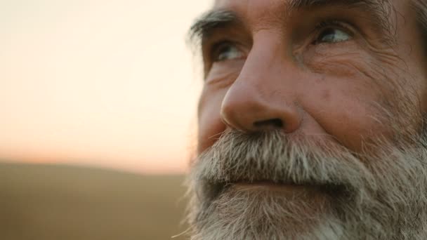 Retrato de cerca del hombre mayor con barba mirando a la cámara en el fondo dorado del campo . — Vídeos de Stock