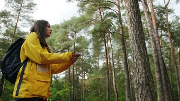 Jeune belle femme en manteau jaune et sac à dos marchant dans la forêt et à la recherche de l'itinéraire avec l'aide de campass. Extérieur — Video