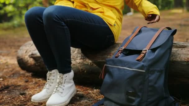 Genç sportif kadın ahşap mili üzerine oturan, sırt çantasını alarak, ayakta ve ormanın orta içinde gidiyor. Yalnız hiking. Açık — Stok video