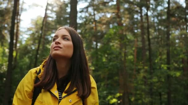 Portret shot van mooie jongedame wandeling in het bos en stoppen om foto's van de natuur op de zwarte smartphone. Zonnig weer. Buiten — Stockvideo