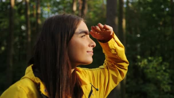 Primo piano della giovane donna sorridente attraente che mette una mano alla fronte e che guarda nel binocolo e nella grande foresta. Giornata di sole. Fuori. Ritratto — Video Stock