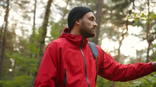 Portrait shot from the side of the handsome hiker in a hat and with a beard walking in the green forest and touching leaves. Outside — Stock Video