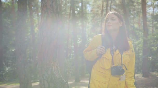 Mujer joven increíble con una cámara vintage que toma su mochila y comienza a caminar, que tomar fotos del bosque a su alrededor. Bosque a la luz del sol. Afuera. — Vídeos de Stock