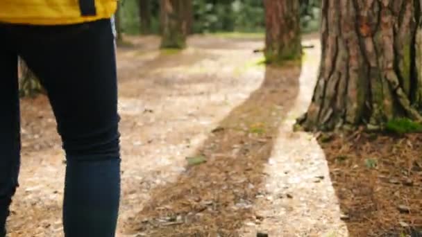 Z tyłu na młoda kobieta w żółtym fartuchu i z plecakiem spacery w lesie i patrząc na mapę w jej ręce. Zgubił się w lesie. Odkryty — Wideo stockowe