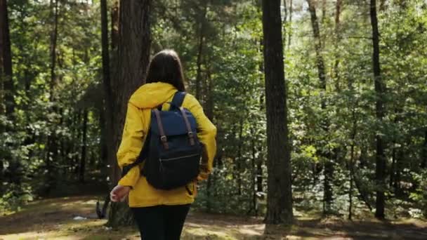 La parte trasera de la joven escaladora asustadiza con una mochila caminando en el bosque, que dando la vuelta y mirando como se perdió. Clima soleado. Exterior — Vídeo de stock