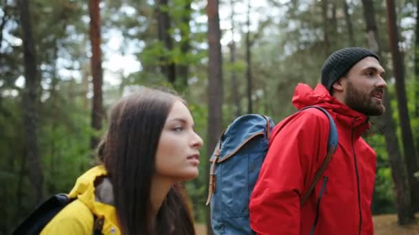 Portret shot van de kant van de jonge gelukkige paar praten en te wandelen in het midden van het prachtige bos. buiten — Stockvideo