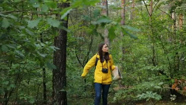 Giovane donna sportiva a piedi attraverso le boscaglie nella foresta e guardando la mappa perché si è persa. All'aperto — Video Stock