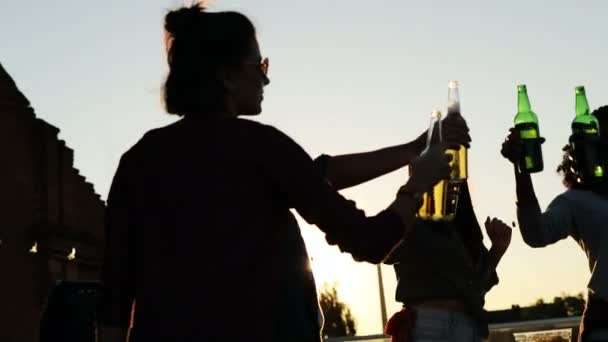 Unos amigos jóvenes haciendo vítores con cerveza en la fiesta de la azotea al atardecer. El fondo del cielo. Afuera. Razas mixtas — Vídeo de stock