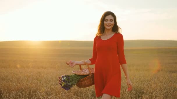 Mladá žena v krásné červené šaty chůzi s koš s květinami v poli zlaté pšenice na pozadí modré oblohy. — Stock video