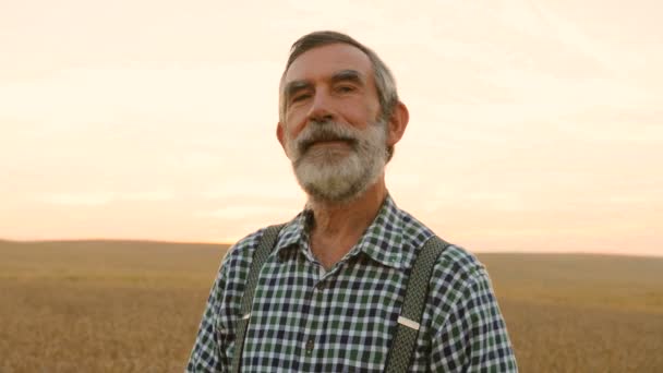 Retrato de viejo fermer feliz en el campo de oro y sonriendo en el colorido fondo del cielo . — Vídeo de stock