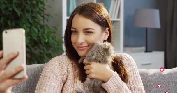 Hermosa chica feliz caucásica con lindo gatito tomando fotos selfie con teléfono inteligente. Mujer bonita joven grabando historia en vivo con gato en el teléfono. Reacciones de redes sociales corazones le gusta correr . — Vídeos de Stock