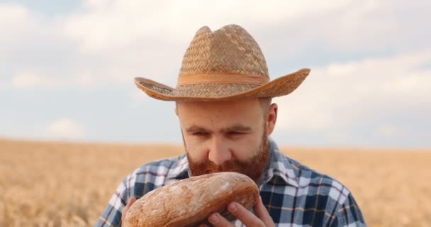 Zbliżenie Przystojnego Rudego Farmera Wąchającego Świeży Chleb Stojąc Złotym Polu — Wideo stockowe