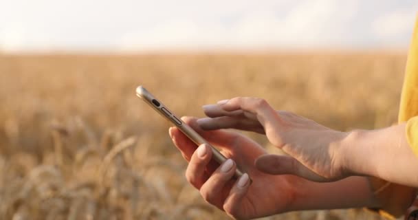 Close Shot Van Vrouwelijke Blanke Handen Typen Tikken Het Scherm — Stockvideo