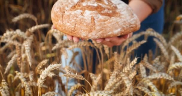 Närbild Skott Kaukasiska Kvinnliga Händer Håller Nybakat Bröd Vete Öron — Stockvideo