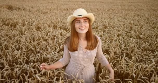 Retrato Menina Branca Bonita Vestido Bolinhas Campo Trigo Dourado Sorrindo — Vídeo de Stock