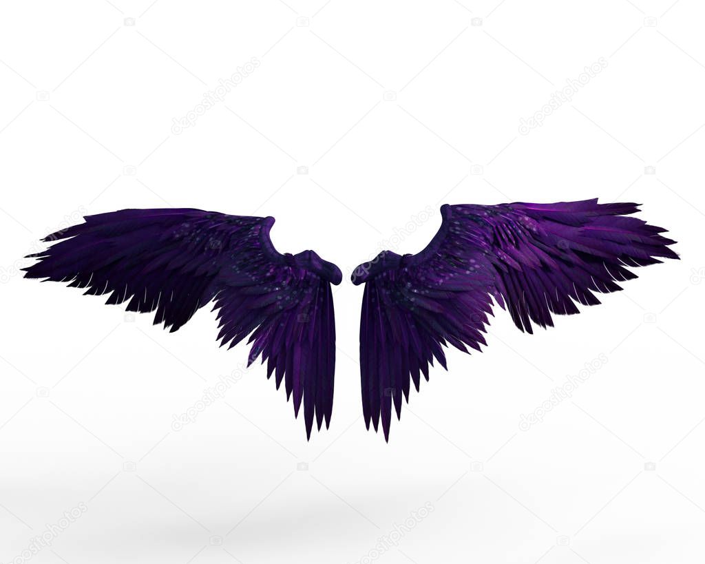 3D Rendered Purple Feather Wings Isolated on White Background