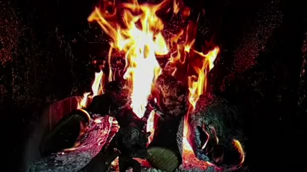 Настоящее Пламя Горит Движение Ветвями Дерева Камин Замедленной Съемке Черном — стоковое видео