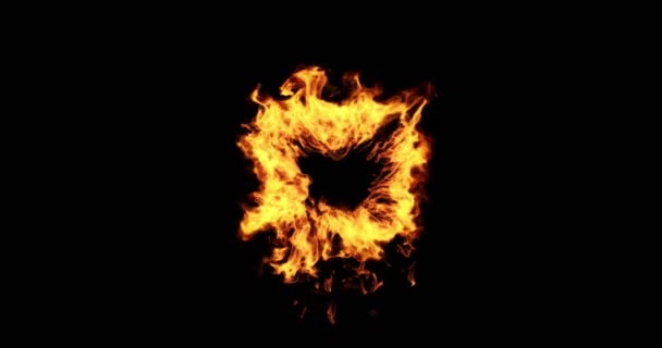 抽象的な火災炎ダンサー爆発衝撃波暖かいゴールド エネルギー黒い背景に — ストック動画
