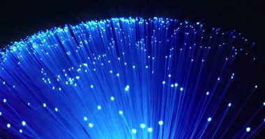 ayrıntı mavi, mor Menekşe büyüyen demet optik lifler arka plan, yüksek hızlı internet bağlantısı, değişim renk maviden Menekşe fade etkisi hareket için hızlı ışık sinyali