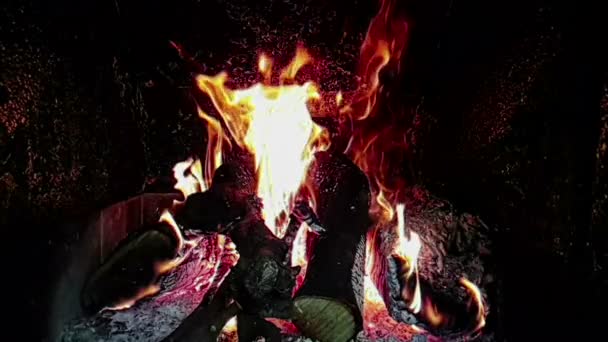 真正的火焰燃烧的运动与树枝的木材 壁炉在缓慢的运动 在黑色背景 — 图库视频影像