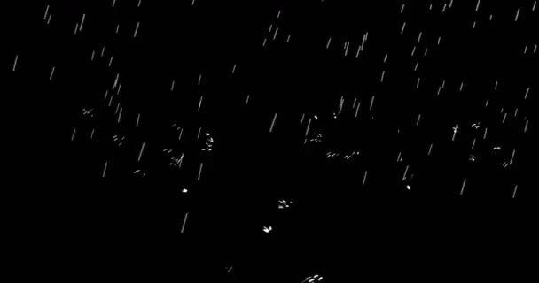 Slow Motion Heavy Rain Water Drops Fountain Black Background Animation — Stock Video