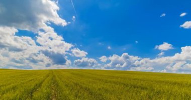 yeşil peyzaj alanları beyaz bulutlar, hızlandırılmış hareket, doğa ile mavi gökyüzü altında çim ve rahatla, iklim değişikliği kavramı