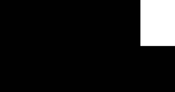 abstrait multi triangle et forme carrée coup de pinceau rayures noir et blanc fond de transition, animation de la peinture, canal alpha 