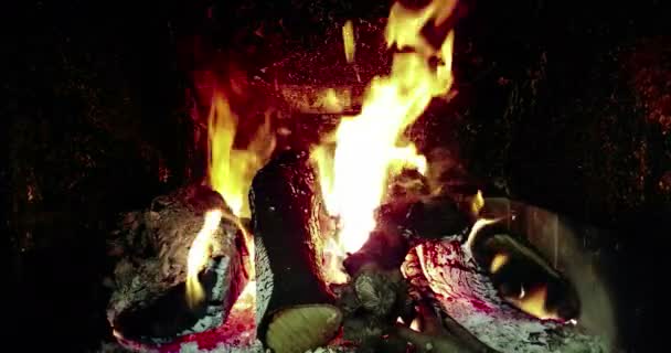 真正的火焰燃烧的运动与树枝的木材 黑色背景 — 图库视频影像
