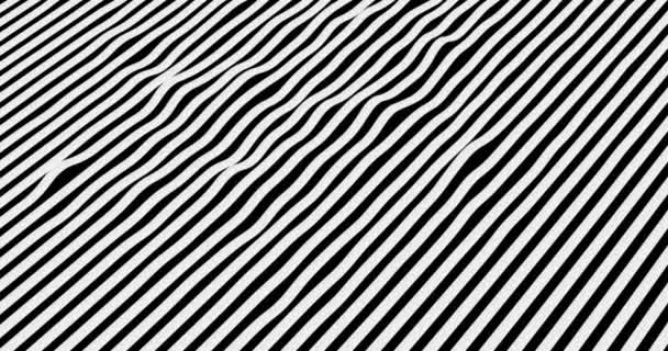 Abstract Black White Oblique Strips Movement Flowing Background Zebra Effect — Stock Video