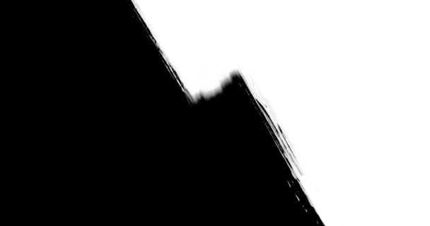 Pincel Abstracto Forma Trazo Tinta Blanca Salpicadura Fluyendo Lavado Croma — Vídeos de Stock
