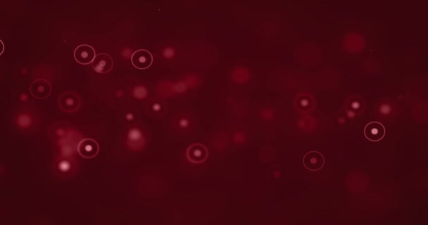 Astratto Natale Gradiente Sfondo Rosso Con Cerchi Bokeh Rosso Scorre — Video Stock