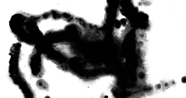ペイント ブラシ ストローク形状黒インクが飛び散る流れて 白い背景に 芸術的なインク スプラッタ スプラッシュ効果で洗浄を抽象化します — ストック動画