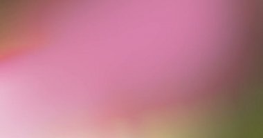 soyut çok renkli ışık titreşimleri ve parlaklıklar hareket arkaplanı sızdırır, defocus bokeh ile