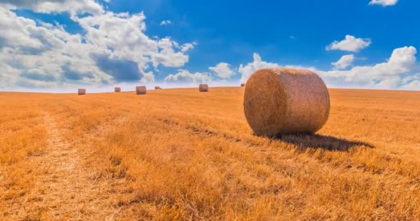 干草捆在蓝天下的黄色草地的风景白云 农业和自然和放松 气候变化概念 延时运动 — 图库视频影像