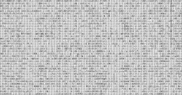 ゼロと 1 つ黒バイナリ デジタル コード ホワイト バック グラウンドに、コンピューター生成されたシームレス ループ抽象モーション背景、新しい — ストック動画