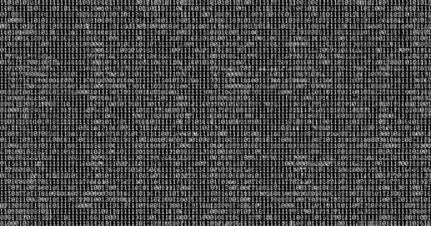 zéro et un code numérique binaire blanc sur fond noir, fond de mouvement abstrait de boucle sans couture généré par ordinateur, nouveau 