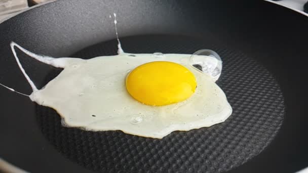 特写鸡蛋在锅里 射击在慢动作概念的医疗和饮食 — 图库视频影像