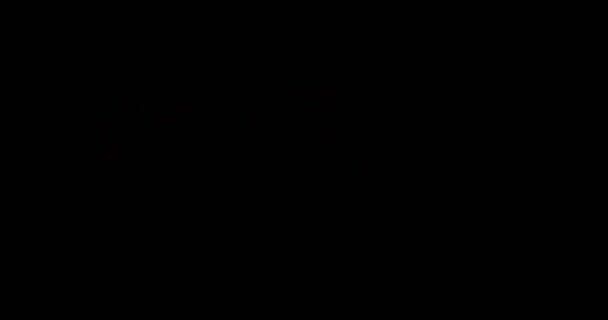 Настоящие Огненные Искры Костра Золой Черном Фоне Движения Перехода Черном — стоковое видео