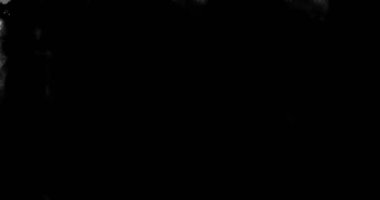 beyaz çok soyut sıçrama mürekkep boya fırça yatay ve eğik kontur siyah geçiş siyah ekran arka planda, boya animasyon