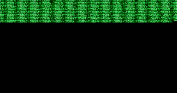 Multi Numérico Número Verde Código Binário Digital Mostrar Fundo Preto — Vídeo de Stock