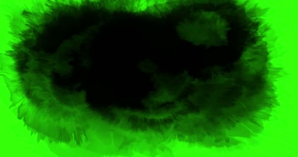 クリエイティブアブストラクト ペイント ブラシ ストローク形黒のインクが飛び散る流れるとクロマ グリーン スクリーン背景 芸術的なインク スプラッタ スプラッシュの洗浄 — ストック動画