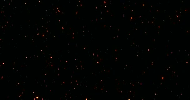 Vere Scintille Fuoco Falò Con Aumento Cenere Sfondo Nero Pericolo — Video Stock