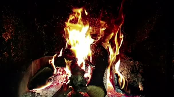 Real Fire Flames Burn Movement Branches Wood Fireplace Slow Motion — Stock Video