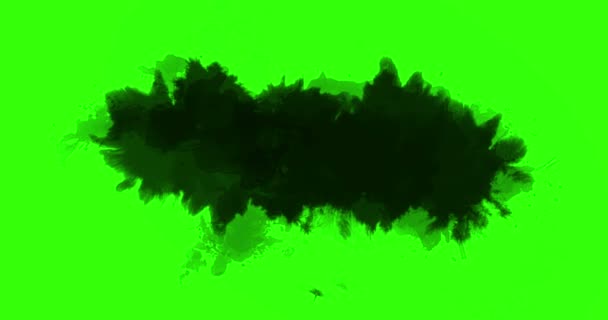クリエイティブアブストラクト ペイント ブラシ ストローク形黒のインクが飛び散る流れるとクロマ グリーン スクリーン背景 芸術的なインク スプラッタ スプラッシュの洗浄 — ストック動画